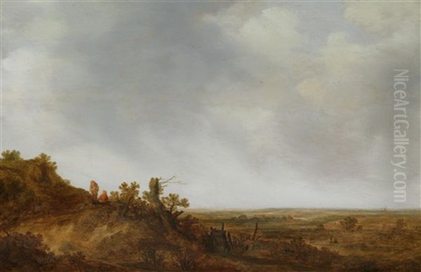 Eine Dunenlandschaft - view 1