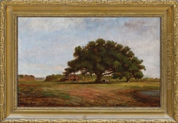 City Park, Old Allard Plantation, New Orleans - view 1
