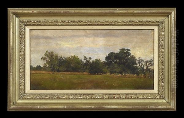 Northshore Landscape - view 1