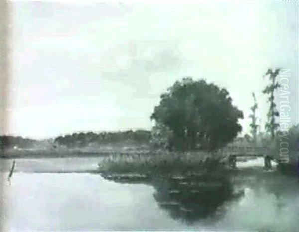 Lafitte Island And Peach Orchard On Bayou Barataria - view 1