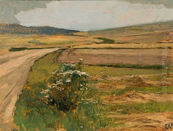 Landscape In Plankenberg - view 1