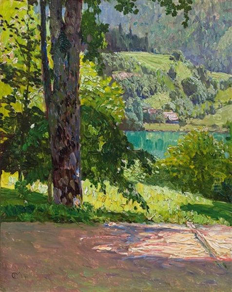 View From Villa Billroth On Wolfgangsee - view 1