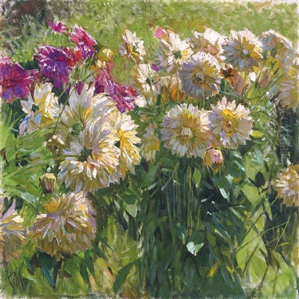 Dahlien (dahlias) - view 1