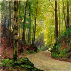 Waldweg, Kreuzberg (oberhalb Reichenau An Der Rax) Waldweg, Kreuzberg (oberhalb Reichenau An Der Rax)