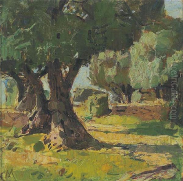 Olivengarten, Provence - view 1