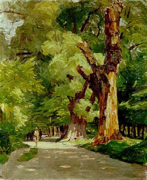 Alte Baum In Wiener Prater - view 1