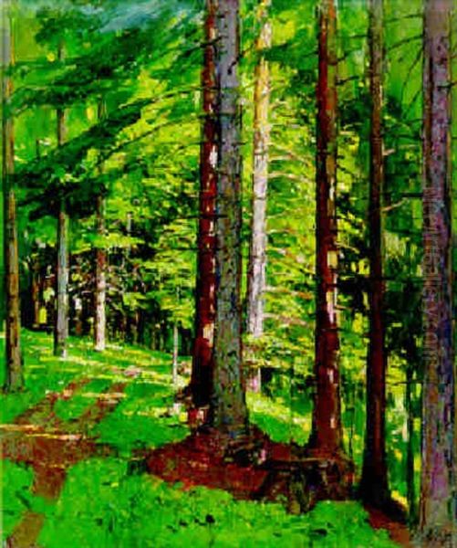 Im Nadelwald - view 1