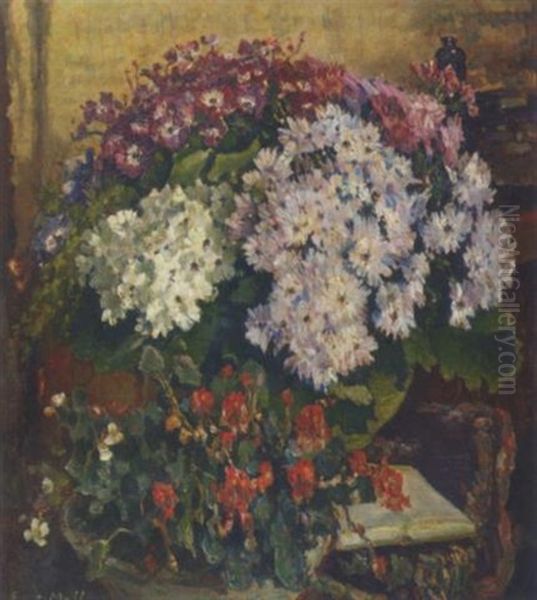 Potted Plants In An Interior - view 1