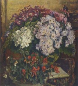Potted Plants In An Interior