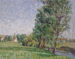 Sommerliche Wiesenlandschaft