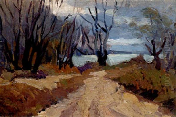 Waldweg Zum Wasser - view 1