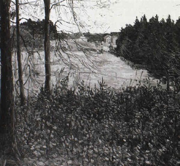 Dorf Im Wald - view 1
