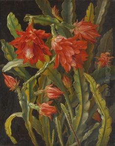 Christmas Cactus by Christian Juel Moellback