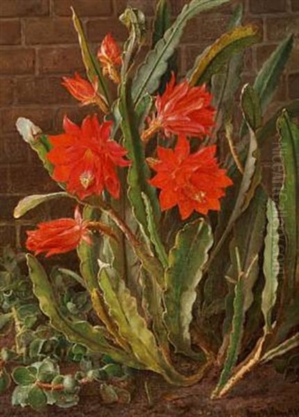 Cactus In Bloom - view 1