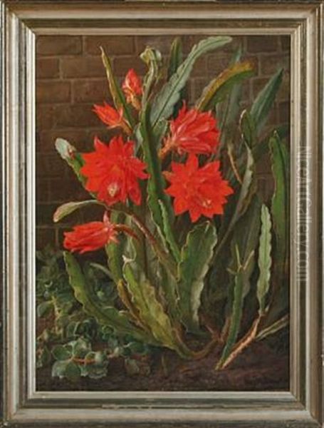 A Cactus In Bloom - view 1