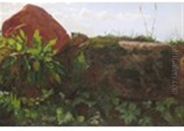 Meadow Piece With Sorrel, Ferns And Moss Covered Stone - view 1
