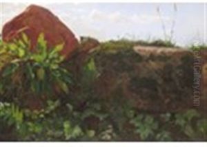 Meadow Piece With Sorrel, Ferns And Moss Covered Stone