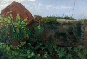 Wiesenstuck Mit Sauerampfer, Farnen Und Moosbedecktem Stein