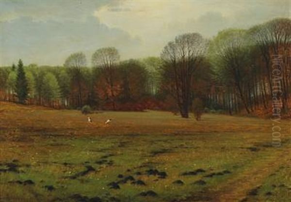 Storks In The Field - view 1
