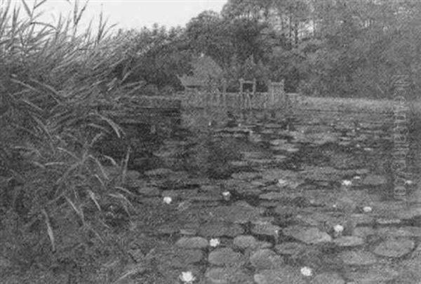 Water-lilies - view 1