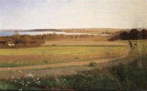 Blomstrende Sommereng, Udsigt Over Landskab Ved Silkeborg, I Baggrunden Huse Og Molle Blomstrende Sommereng, Udsigt Over Landskab Ved Silkeborg, I Baggrunden Huse Og Molle