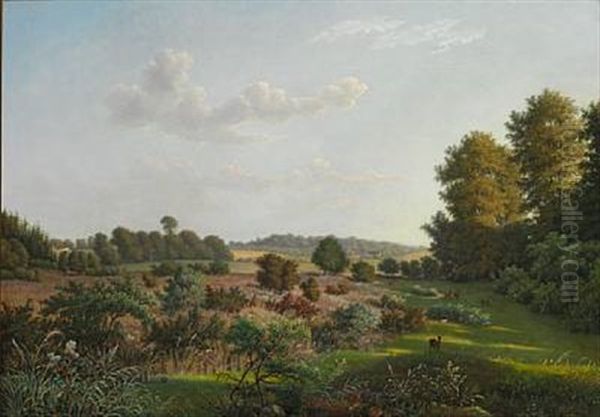 Sogaard. Dyrehavemosen - view 1