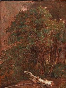 Charlottenlund, Sept. 1820 (forest Scene From Charlottenlund, Denmark) by Jens Peter (I.P.) Moeller