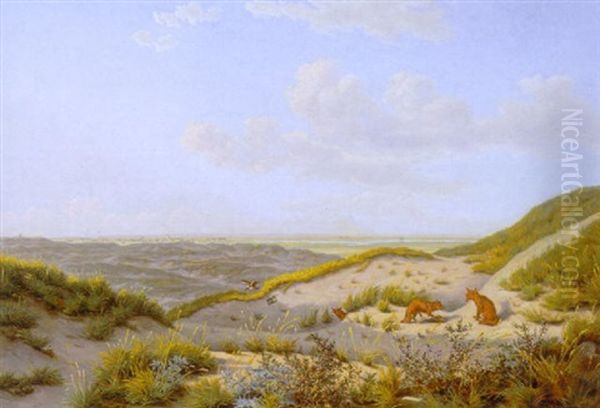 Udsigt Fra Klitterne Ved Veilby - view 1