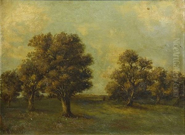 Landscape With Trees - view 1