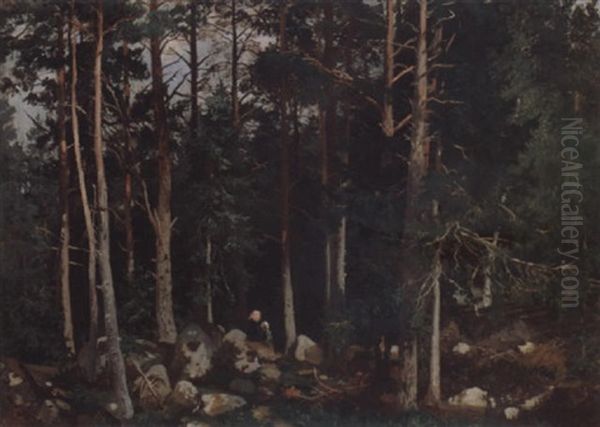 To Smapiker I Skogen - view 1