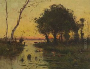 Uferlandschaft Im Abendlicht