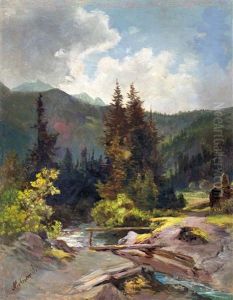 River In The Tatras