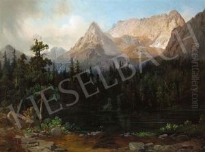 Tatra Landscape