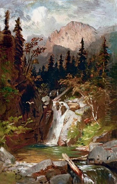 Waterfall In Tatra Mountains - view 1
