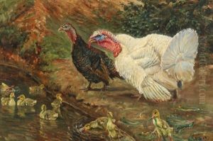 Turkeys And Chickens By The Pond by Niels Pedersen Mols