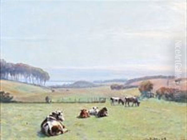 Grazing Cows On A Field - view 1