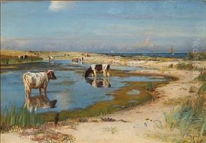 Beach Scene From Rorvig With Grazing Cows, Denmark Beach Scene From Rorvig With Grazing Cows, Denmark