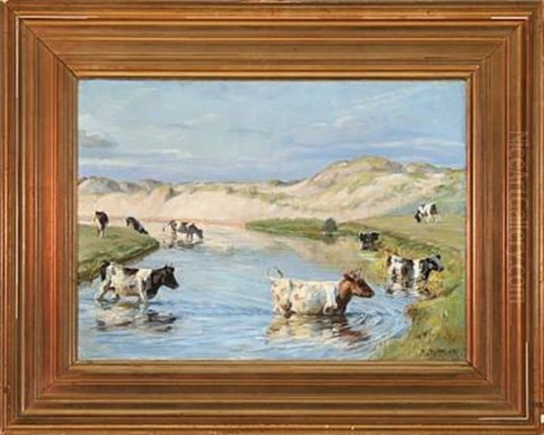 Cows At Liver River Near Hjorring, Denmark - view 1