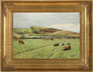 Grazing Cattle At Daugaard Grazing Cattle At Daugaard