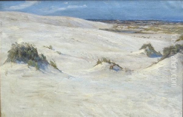 Klitlandskab, I Det Fjerne Skimtes Havet - view 1