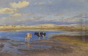 Koer Pa En Strandeng I Rabjerg Mile Koer Pa En Strandeng I Rabjerg Mile