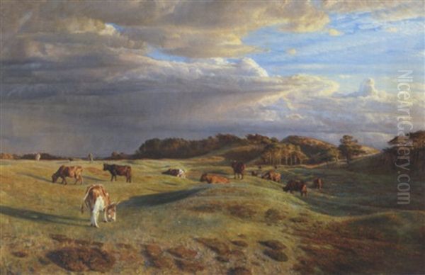 Oktoberdag Henimod Aften. Hojsand Ved Rorvig - view 1