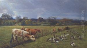 Brod-nid. Kalve Og Gaes by Niels Pedersen Mols