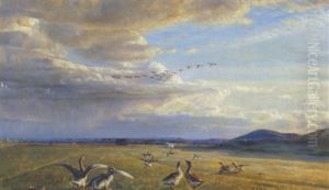 Efterarstraek. Vildgaes Og Tamme Gaes by Niels Pedersen Mols