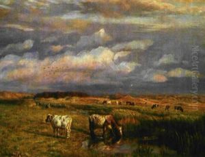 Koer Pa Marken Ved Solnedgang by Niels Pedersen Mols