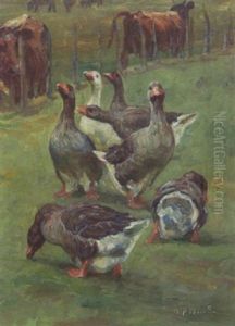 Gaes Og Kreaturer Pa Marken Gaes Og Kreaturer Pa Marken