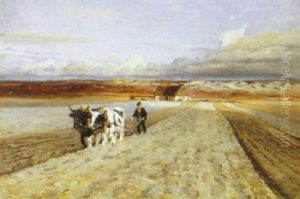 Plojescene, Ulfborg Hede Plojescene, Ulfborg Hede