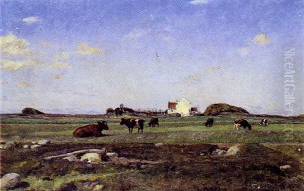 Marklandskab Mes Brogede Koer, I Baggrunden Flade Kirke Ved Frederikshavn - view 1