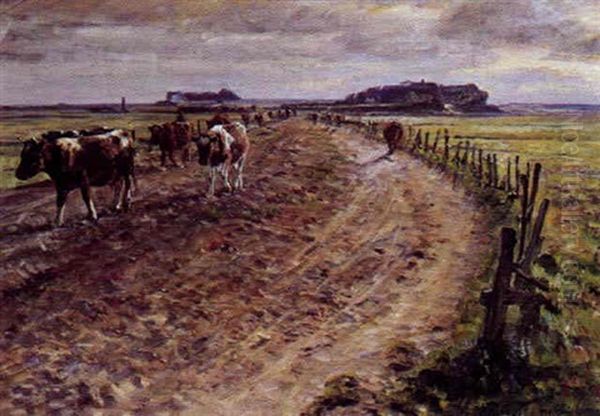 Koer Pa En Markvej I Marsken - view 1