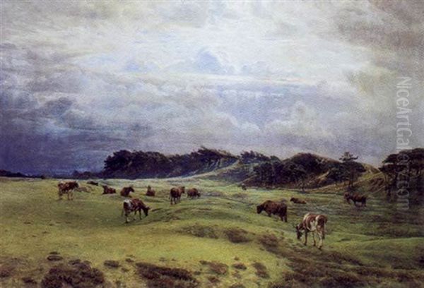 Kvaeg Pa Marken, Med Optraekkende Byger - view 1